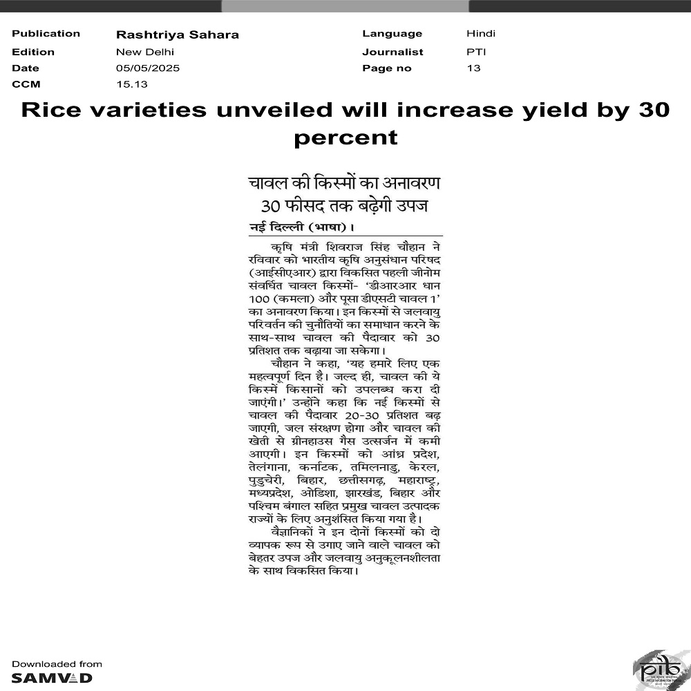 Rice varieties unveiled will increase yield by 30 percent