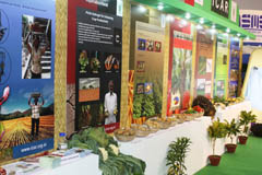 ISC-2013-3