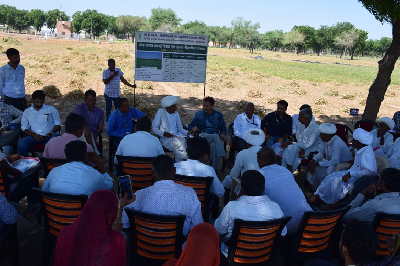 Moth Bean: A Promise of Livelihood Security and Self-Reliance in Pulses