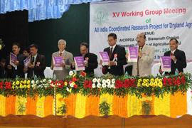 crop-0130122015.jpg