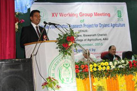crop-0330122015.jpg