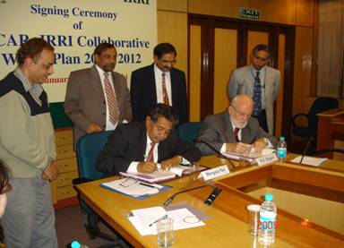 icar-irri-workplan_clip_image002.jpg