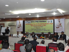 jab-02-07-02-2013