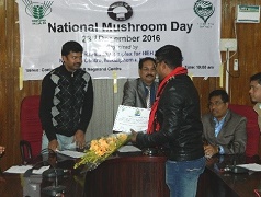 mashriimunitss-07
