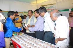 zpd-10-09-2014-6