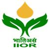 ICAR IIOR Safflower