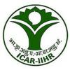 Arka Bagwani