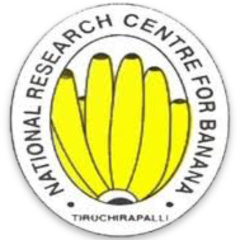 Banana Export and Value Addition