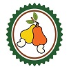 Cashew India