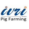 Cover art IVRI-Shukar Palan(Pig Farming) App