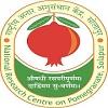 Solapur Anar