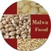 Malwa Fasal