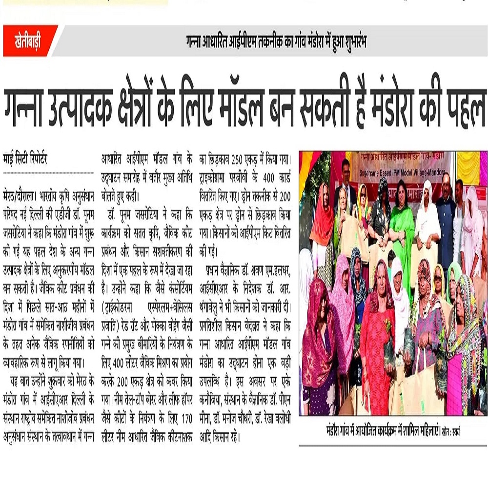 गन्ना उत्पादक क्षेत्रों के लिए मॉडल बन सकती है मंडोरा की पहल