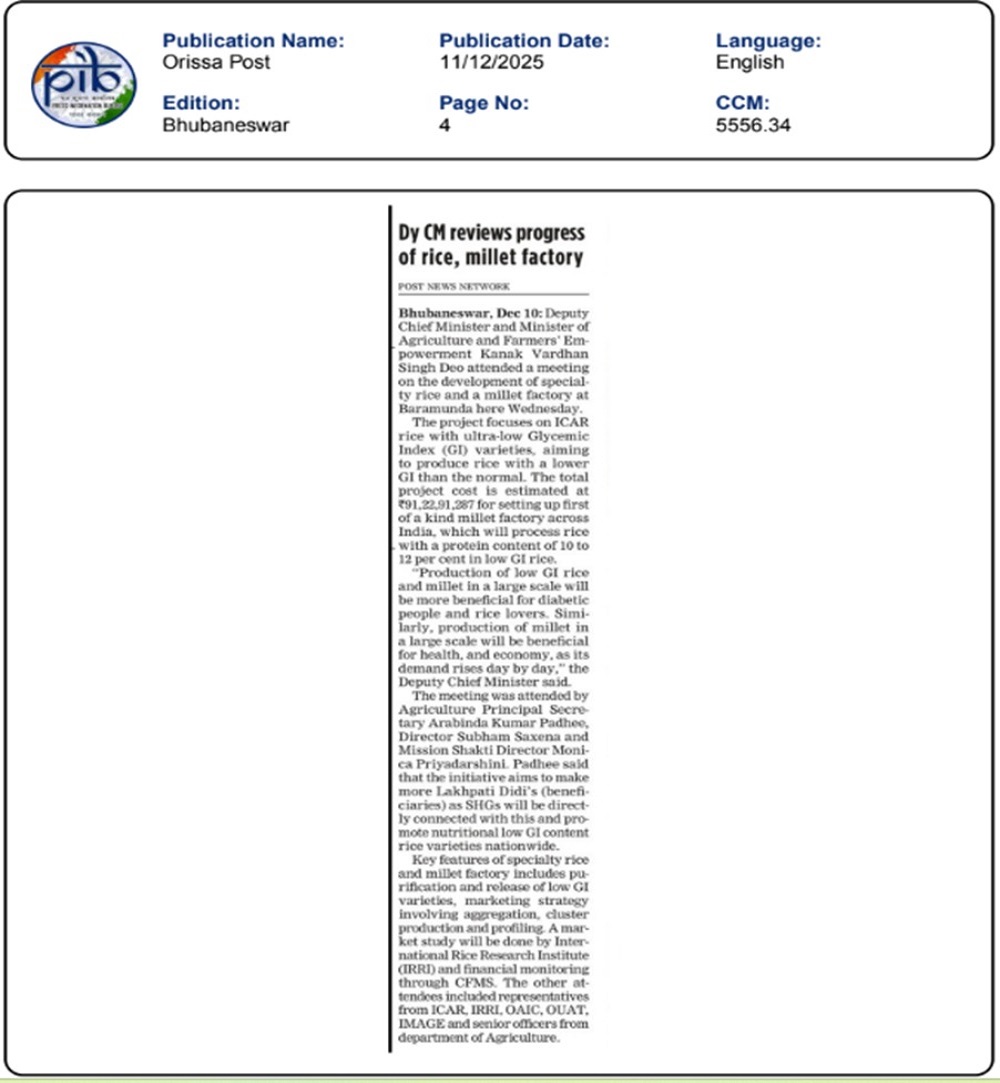 Dy CM reviews progress of rice, millet factory