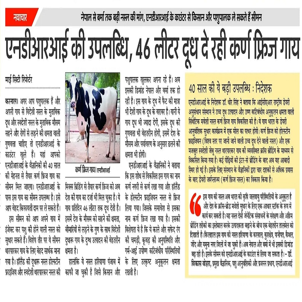 एनडीआरआई की उपलब्धि, 46 लीटर दूध दे रही कर्ण फ्रिज गाय
