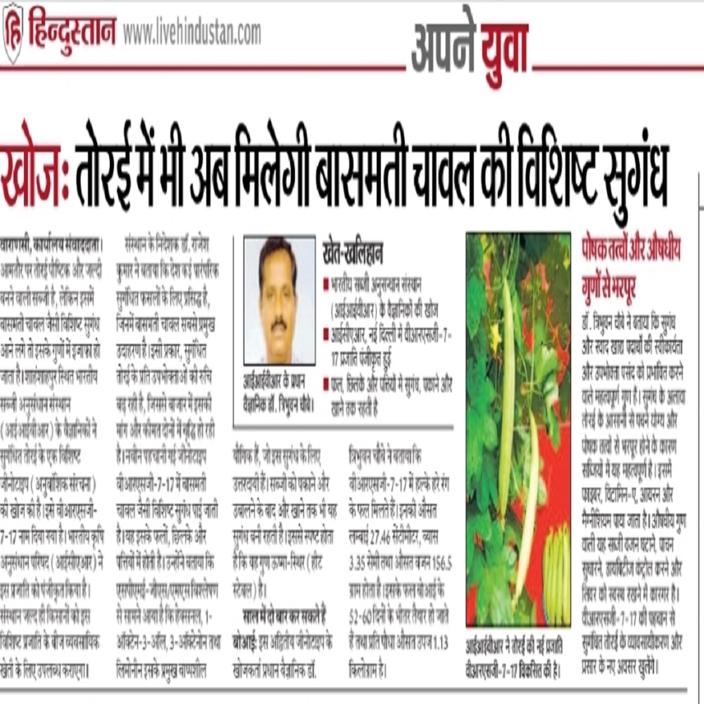 खोजः तोरई में भी अब मिलेगी बासमती चावल की वशिष्ट सुगंध