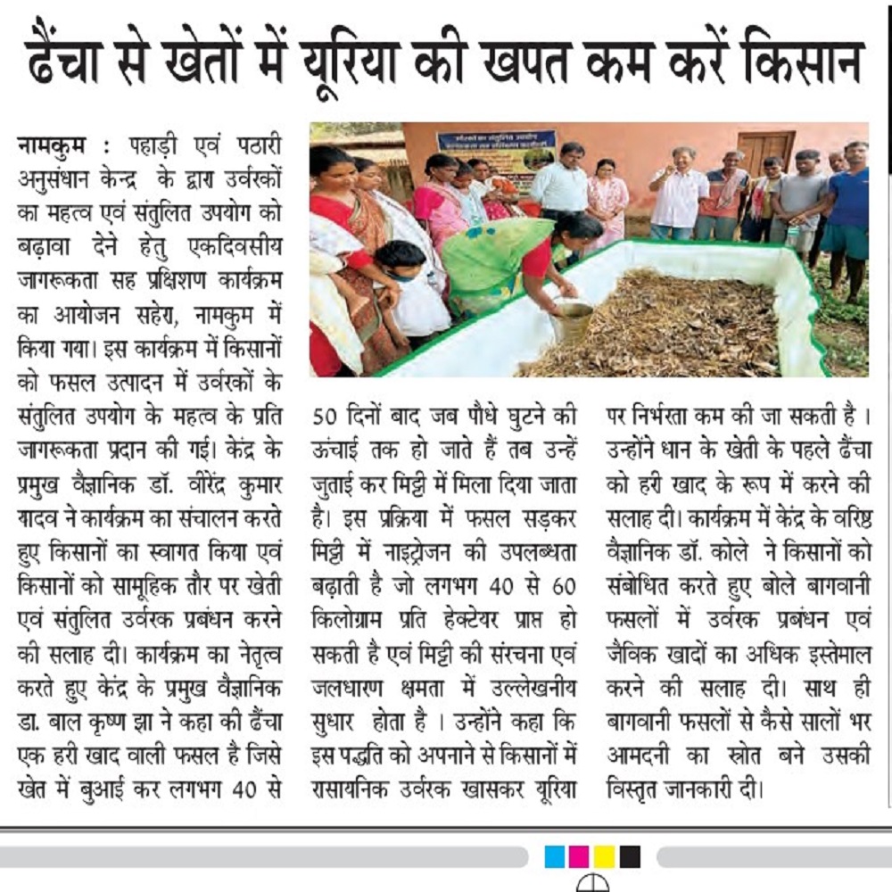 ढेंचा से खेतों में यूरिया की खपत कम करें किसान
