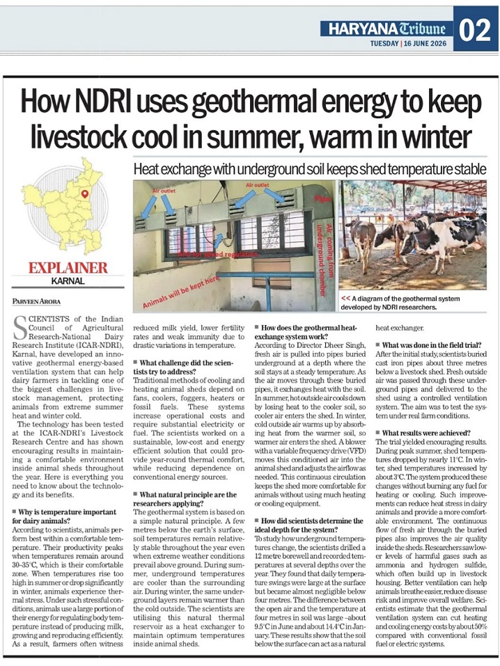 How NDRI uses geothermal energy to keep livestock cool in summer, warm in winter