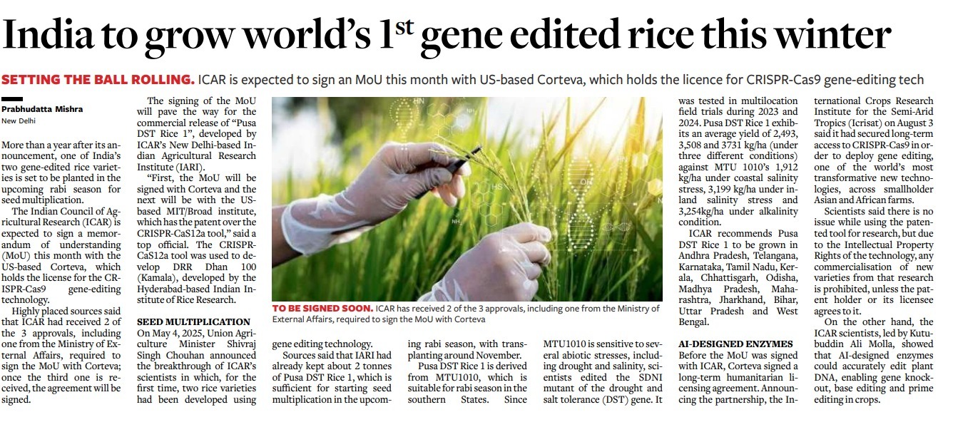 India to grow world’s 1ˢᵗ gene edited rice this winter