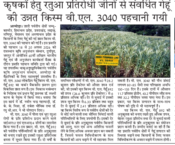 कृषकों हेतु रतुआ प्रतिरोधी जीनों से संवर्धित गेहूं की उन्नत किस्म वी.एल. 3040 पहचानी गयी