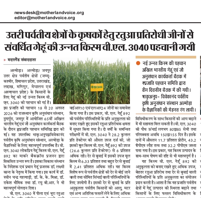 उत्तरी पर्वतीय क्षेत्रों के कृषकों हेतु रतुआ प्रतिरोधी जीनों से संवर्धित गेहूं की उन्नत किस्म वी.एल. 3040 पहचानी गयी