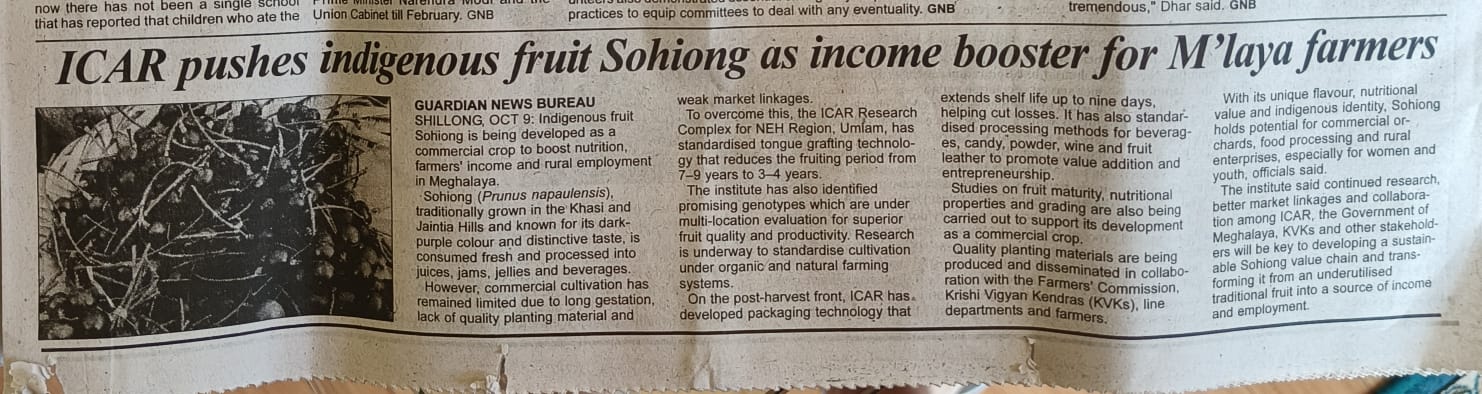 ICAR pushes indigenous fruit Sohiong as income booster for M'laya farmers