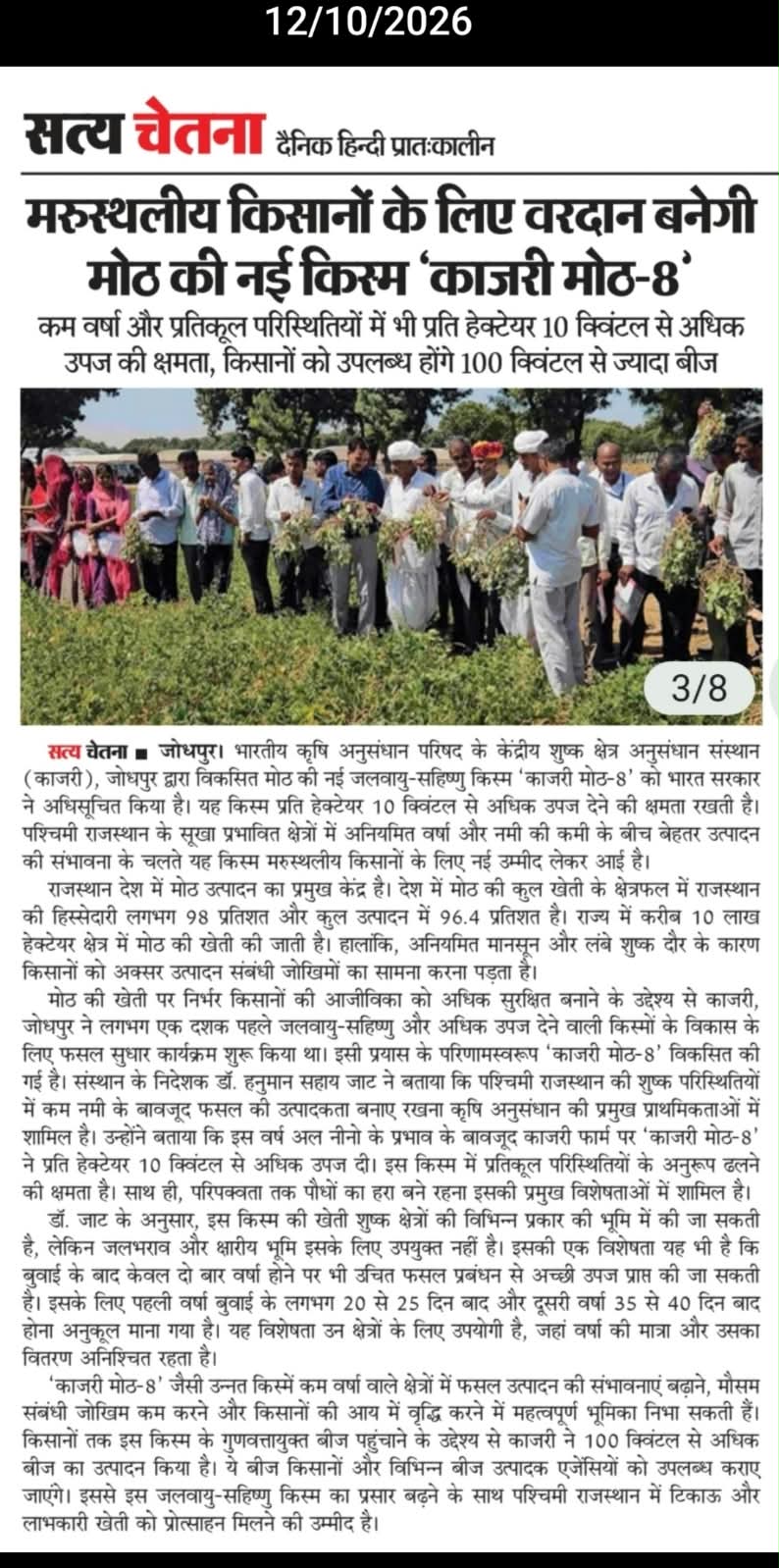 मरुस्थलीय किसानों के लिए वरदान बनेगी मोठ की नई किस्म 'काजरी मोठ-8'