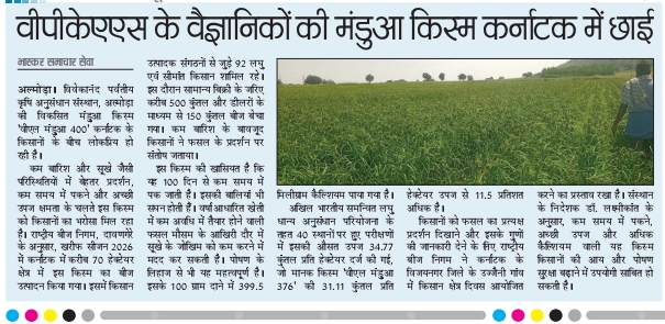 वीपीकेएएस के वैज्ञानिकों की मंडुआ किस्म कर्नाटक में छाई