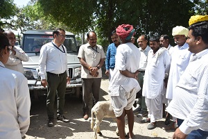 केन्द्रीयभेड़-अनुसंधान-संस्थान-अविकानगर-03_0.jpg