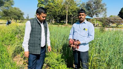 Beetroot Variety ‘Crimson Globe’ Boosts Yield and Income Potential for Farmers in Jaipur, Rajasthan