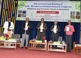 30th-Group-Meeting-AICRP-003