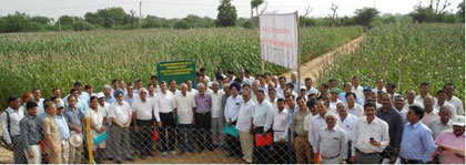 AICMIP-national-demonstration-pearl-millet-21-09-2012-1