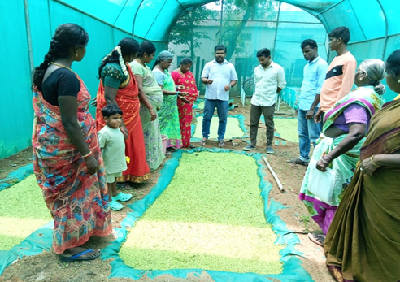 Report on Campaign for Balanced Use of Fertilizers under ICAR-ATARI Zone X, Hyderabad