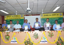 ATRIKOLKATA-02-25042017.jpg