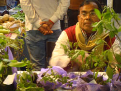 Agro-based-Bihar-needs-support-from-Industries-15-12-11-3