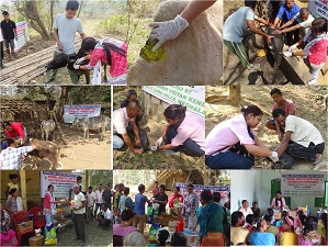 Animal-Vaccination-cum-Health-Camps-under-Tribal-Sub-Plan-TSP