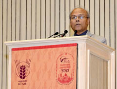 BGRI-Tech-workshop-19-08-2013-13