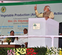 Baramati5-16022015.jpg