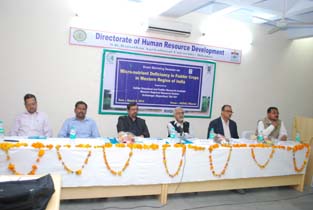 Brain_storming_8-3-14_bikaner__1