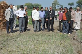 CIAE_QRT_Visit-19-01-2012