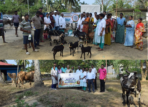 ICAR-CIARI, Sri Vijaypuram in Collaboration with AH&VS Hosts Animal Health Camp on World Veterinary Day