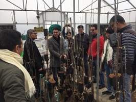 Clean-Plant-Programme-apple-02_1