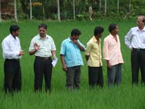 DDG & ZPD at farmers field