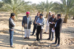 DDGinteracting-01-27012014