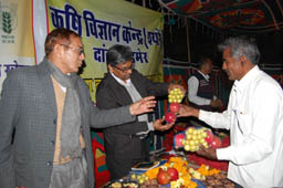 DDGinteracting-03-27012014