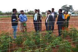 DG-CHES-27-12-2019-2