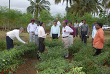 DG-KVK-Hirehalli-Tumkur-19-10-2012-4