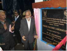 DG-bastar-04-04-2013-2