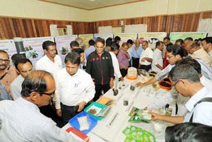 DREAMBIG–KALPA-01 .jpg