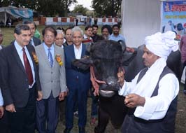 DairyMela-012602015.jpg